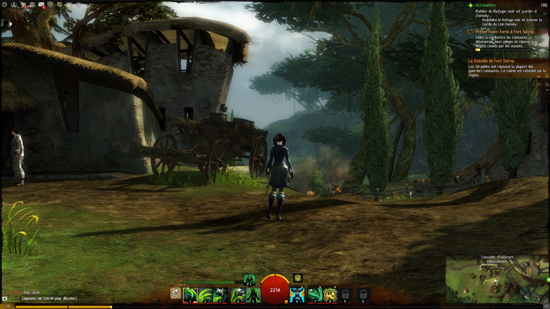 [TEST] Guild Wars 2 sur PC