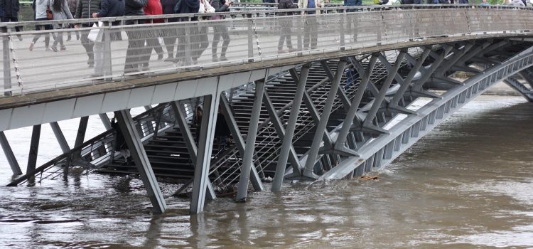 [INSOLITE] La crue de la seine en photos