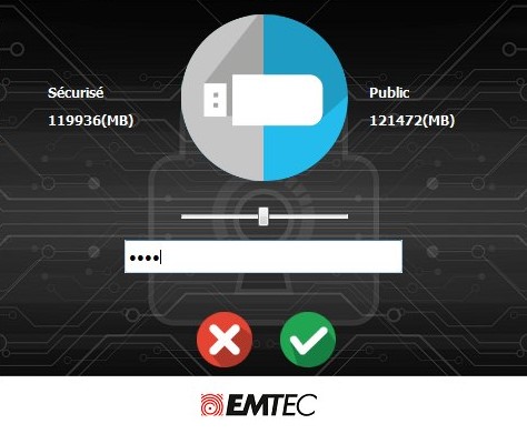 EmtecSpeedIn256-1