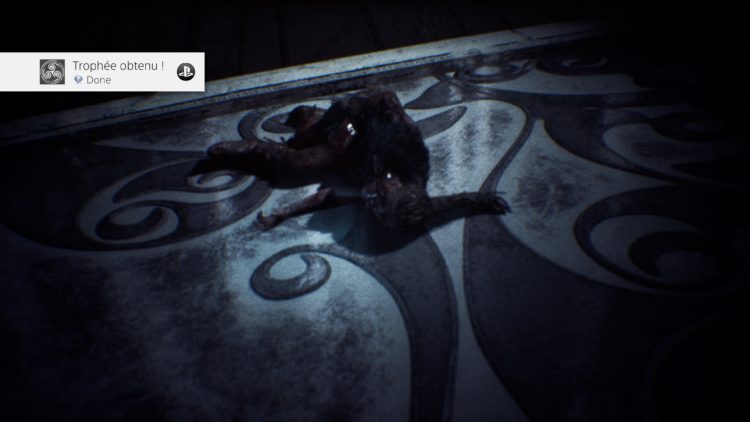 Trophée Platine Hellblade: Senua's Sacrifice